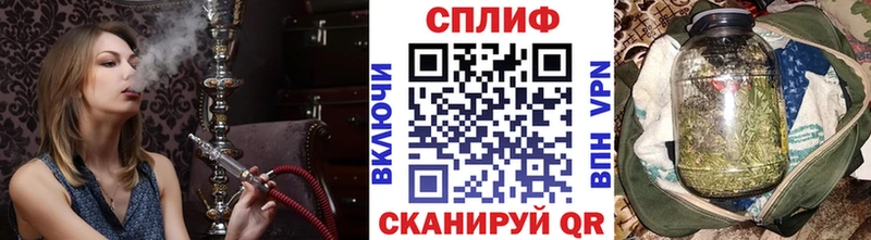 Купить наркотики цена Кингисепп Конопля Меф Гашиш