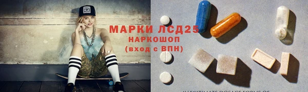 гидропоника Бородино