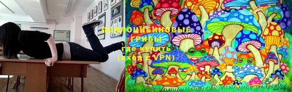 сатива Богородицк