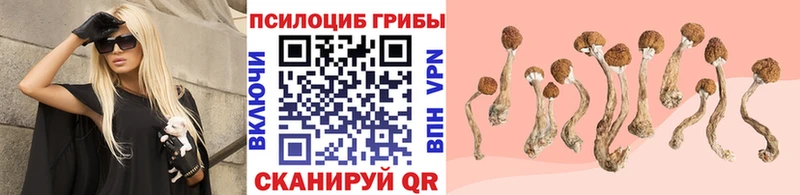Галлюциногенные грибы ЛСД  Кингисепп 